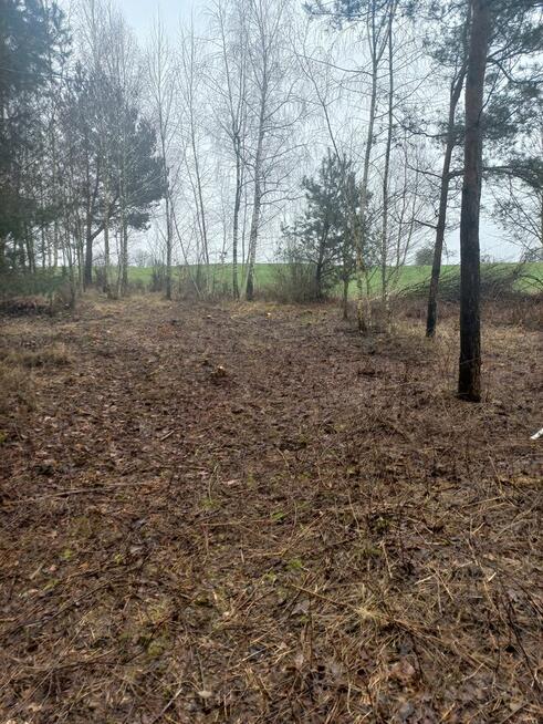 Sprzedam działkę rekreacyjną Żmijewko gmina Zbiczno