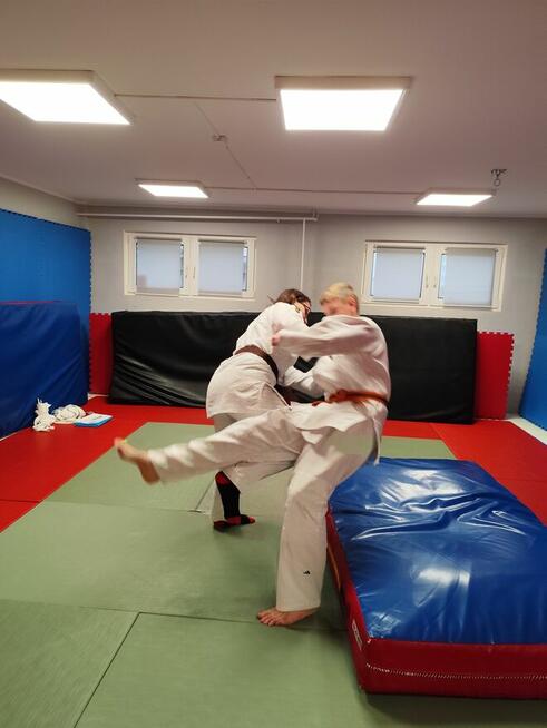 Zajęcia Judo i Jujitsu