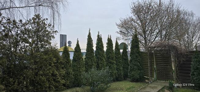 Ogródek Działkowy Sprzedam.