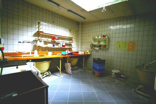 Obiekt produkcyjno-mieszkalny, Opole, Pasieka