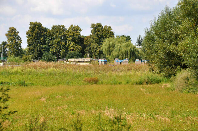 Działka budowlana sprzedaż Bąkowice, gm. Świerczów