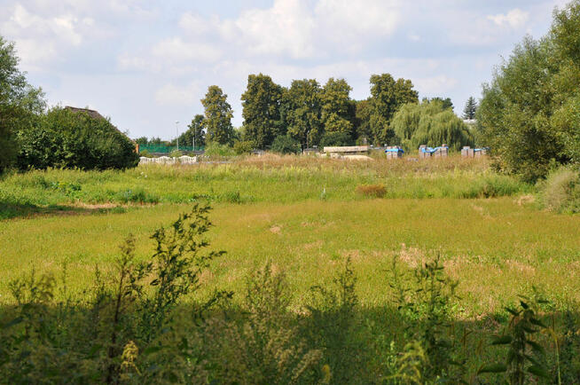 Działka budowlana sprzedaż Bąkowice, gm. Świerczów