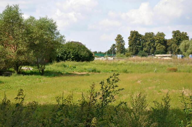 Działka budowlana sprzedaż Bąkowice, gm. Świerczów