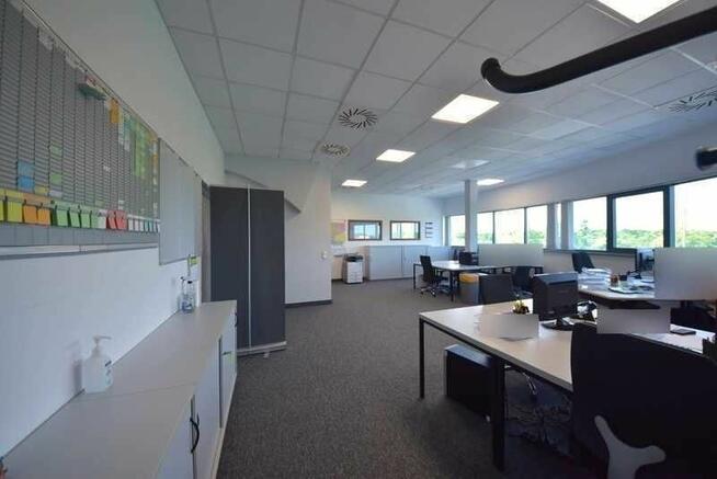 Wynajem biura Opole Śródmieście, 100 m2