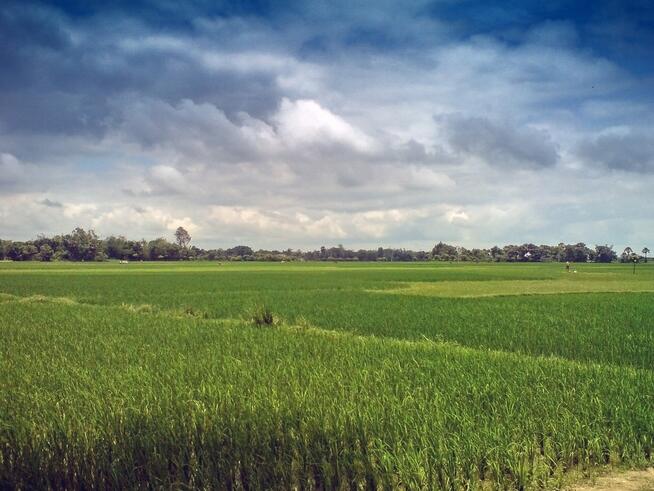 Działka budowlana 12,80 ara, Dębska Kuźnia