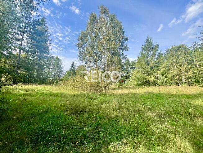 Malownicza działka przy lesie w Bieszkowicach