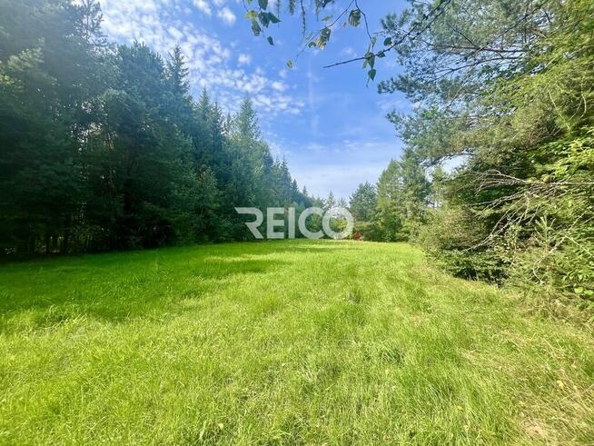 Malownicza działka przy lesie w Bieszkowicach