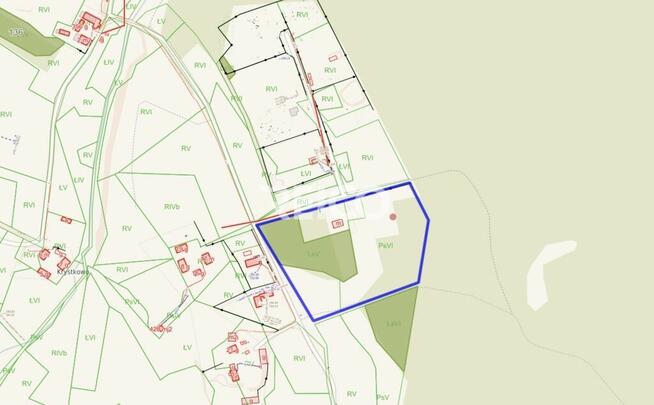 Malownicza działka przy lesie w Bieszkowicach