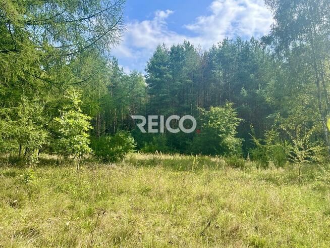 Malownicza działka przy lesie w Bieszkowicach