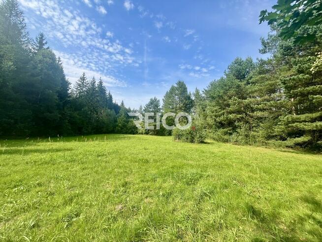 Malownicza działka przy lesie w Bieszkowicach