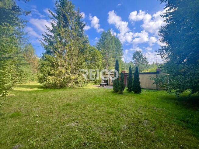 Malownicza działka przy lesie w Bieszkowicach