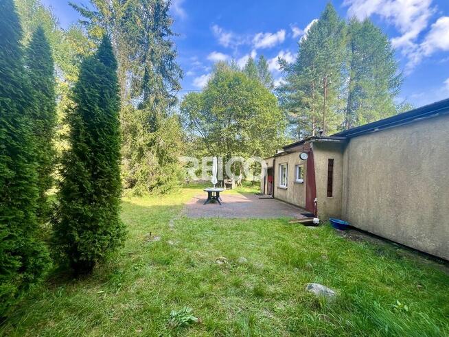 Malownicza działka przy lesie w Bieszkowicach