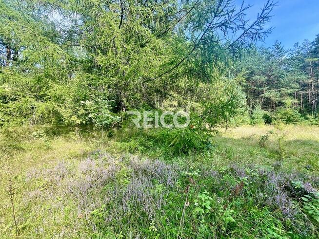 Malownicza działka przy lesie w Bieszkowicach