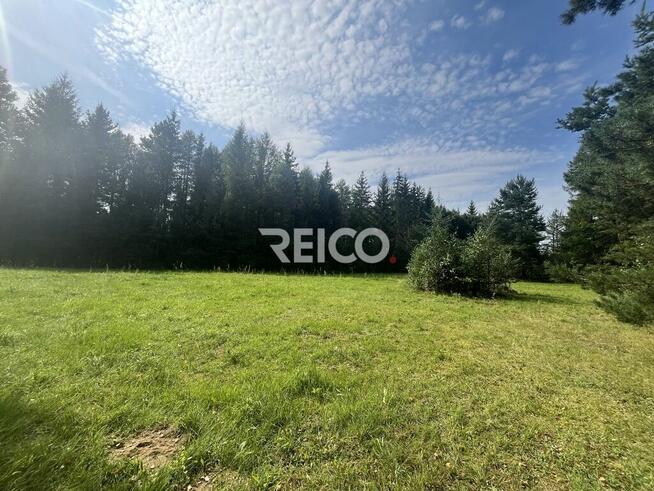 Malownicza działka przy lesie w Bieszkowicach