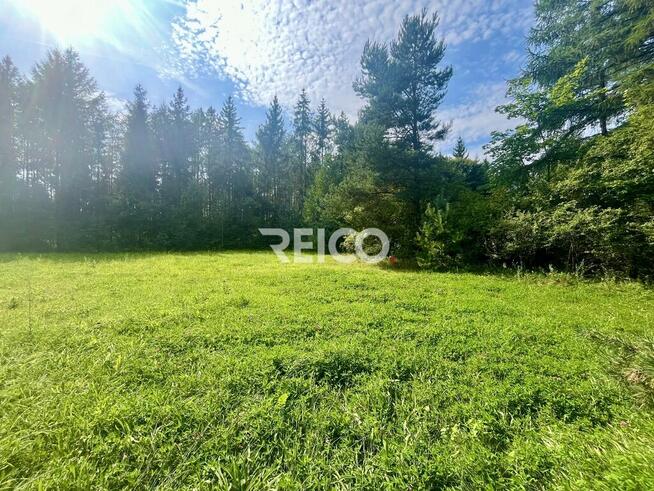 Malownicza działka przy lesie w Bieszkowicach