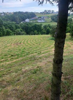 Działka budowlana Marcinkowice gm. Chełmiec