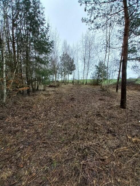 Sprzedam działkę rekreacyjną Żmijewko gmina Zbiczno