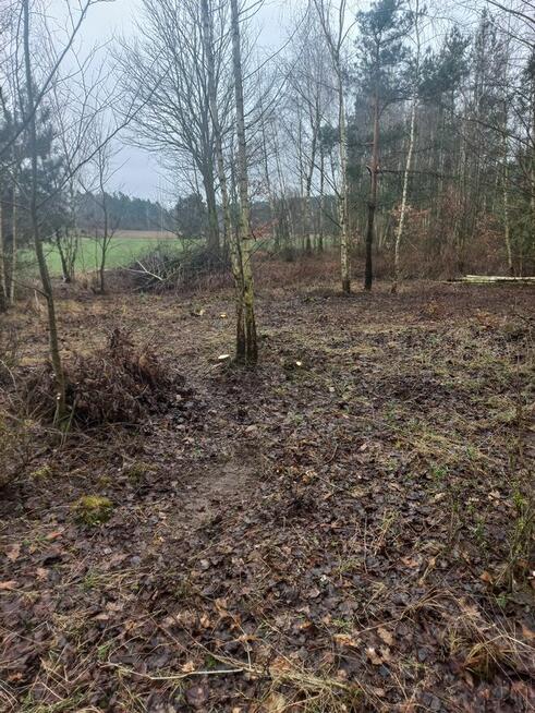 Sprzedam działkę rekreacyjną Żmijewko gmina Zbiczno