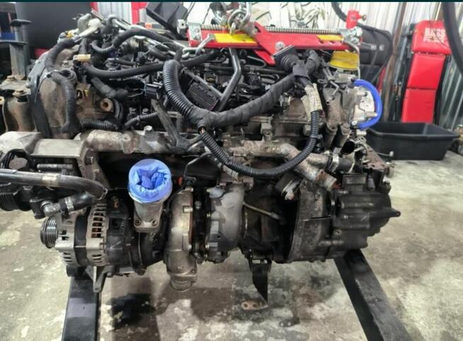 Silnik Alfa romeo 2.4 jtdm 200/210 km na części
