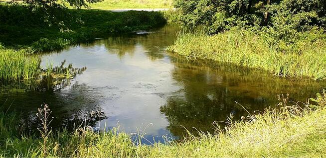 Działka budowlana w malowniczej dolinie Rozpudy