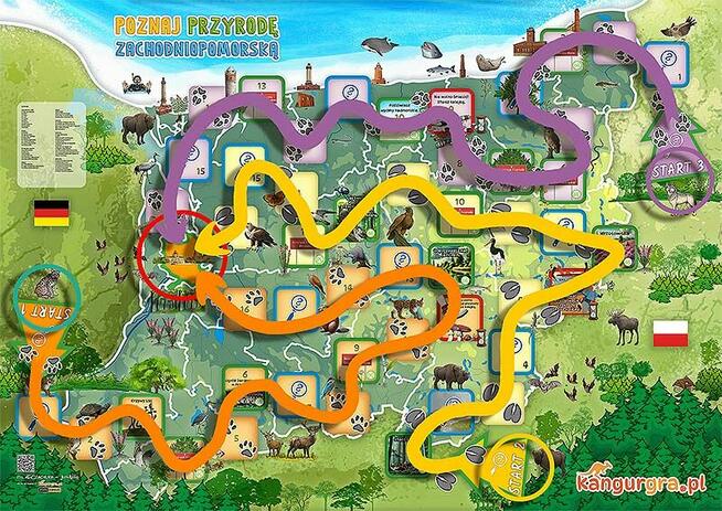 POZNAJ PRZYRODĘ ZACHODNIOPOMORSKĄ eko GRA XXL dla DZIECI duż