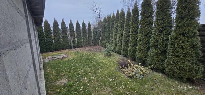 Ogródek Działkowy Sprzedam.