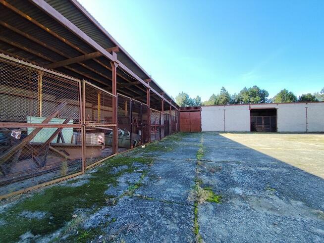 Duży kompleks produkcyjno-magazynowy IGLOOPOL Brzesko