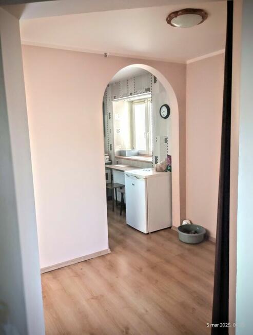 Dom Staszów Działalność Gospodarcza Mieszkanie Działka Domek