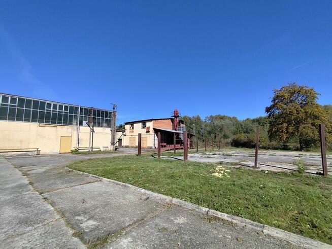 Duży kompleks produkcyjno-magazynowy IGLOOPOL Brzesko