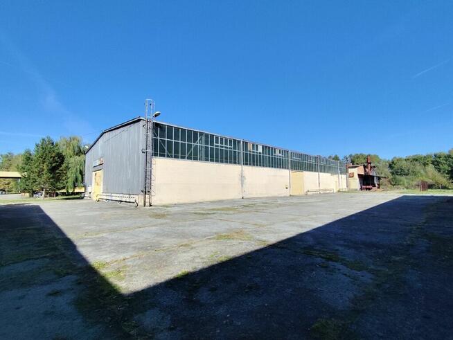 Duży kompleks produkcyjno-magazynowy IGLOOPOL Brzesko