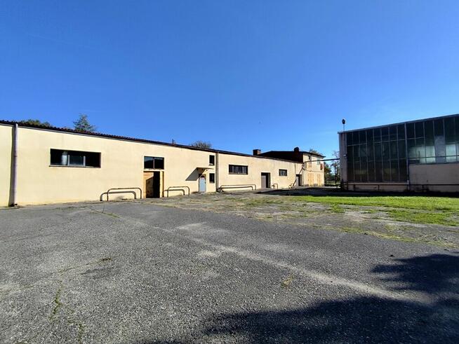 Duży kompleks produkcyjno-magazynowy IGLOOPOL Brzesko