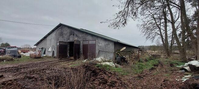 Syndyk sprzeda - Jednorożec, dz. ew. nr 1617