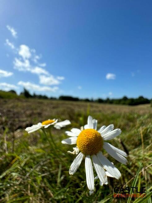 Działka budowlana Gniewino,