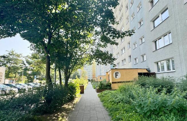 Mieszkanie Gdańsk Zaspa, Pilotów