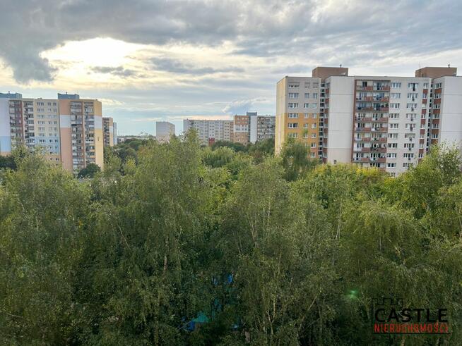 Mieszkanie Poznań gm. Poznań-Grunwald Grunwald, Jugosłowiańska