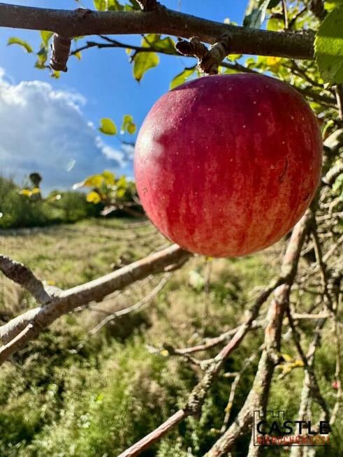 Działka budowlana Gorzyno gm. Główczyce,