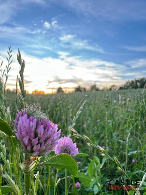 Działka budowlana Chmielno,