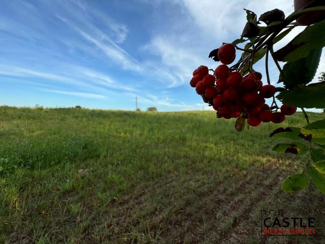 Działka budowlana Chmielno,