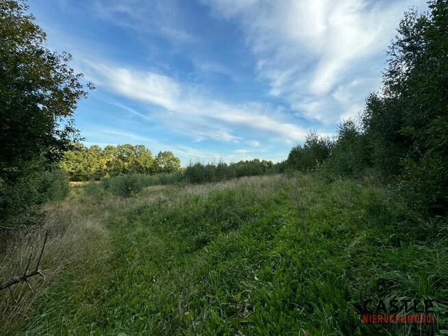 Działka budowlana Chmielno,
