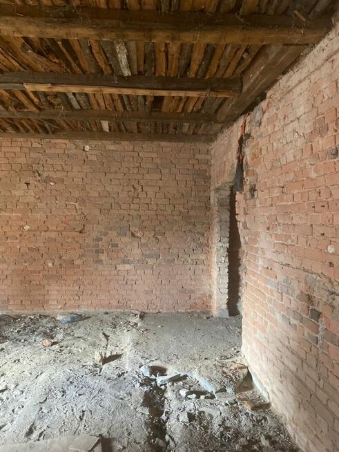 Dom Zielona Góra, Wandy