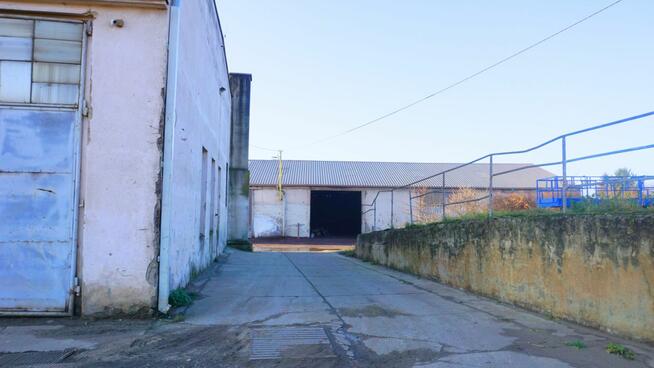 Lokal użytkowy Stare Bojanowo gm. Śmigiel, Przemysłowa