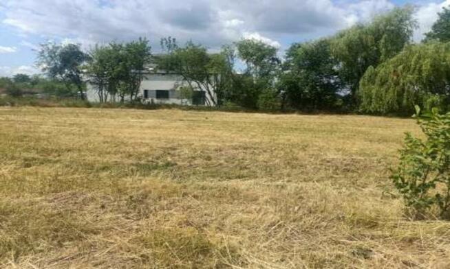 Działka budowlana Skórzewo gm. Dopiewo, Dębowa