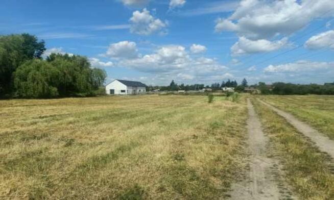 Działka budowlana Skórzewo gm. Dopiewo, Dębowa