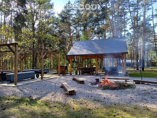 Ośrodek campingowy w sercu Lasu - Biała Góra