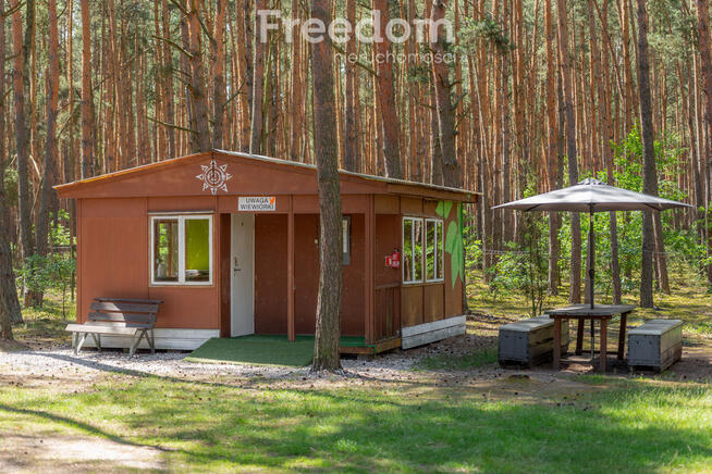 Ośrodek campingowy w sercu Lasu - Biała Góra