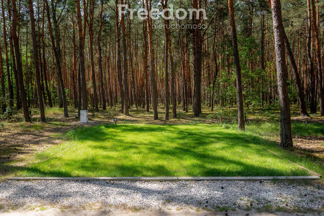 Ośrodek campingowy w sercu Lasu - Biała Góra