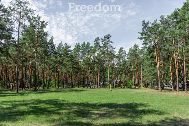 Ośrodek campingowy w sercu Lasu - Biała Góra