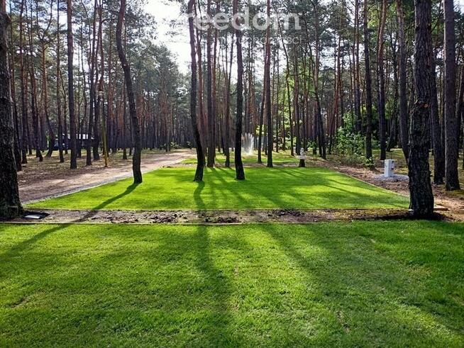 Ośrodek campingowy w sercu Lasu - Biała Góra