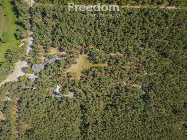 Ośrodek campingowy w sercu Lasu - Biała Góra