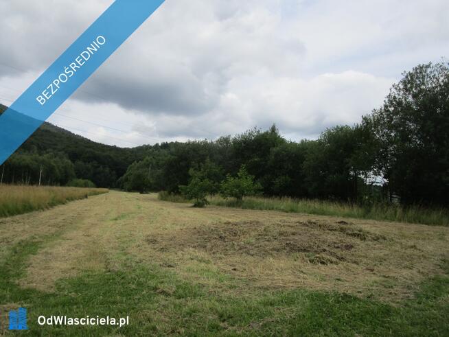 syndyk sprzeda udziały w działkach w Porąbce